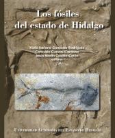 Cover for Los fósiles del estado de Hidalgo