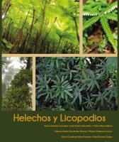 Cover for Helechos y licopodios del estado de Hidalgo, México
