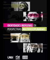 Cover for Identidades indígenas en perspectivas multidisciplinarias