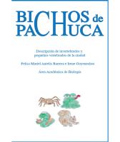 Cover for Bichos de Pachuca