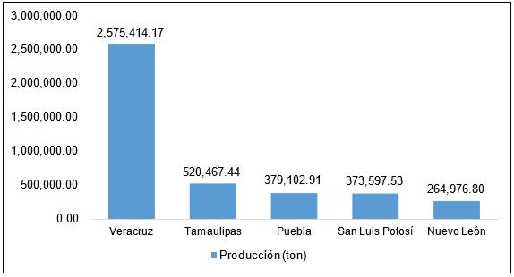 Figura 1