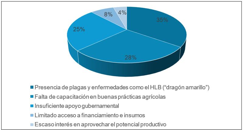 Figura 8
